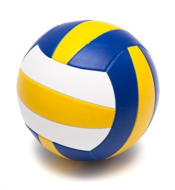 Volejbalový míč GALA Pro-line 5